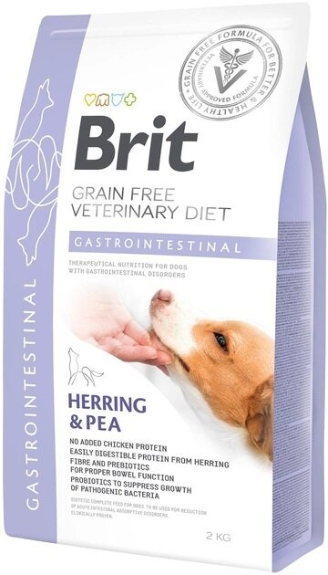 Корм сухий для собак Brit GF Veterinary Diet Gastrointestinal при захворюваннях ШКТ з оселедцем, 2 кг