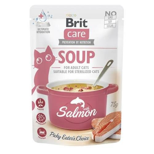 Корм вологий для кішок Brit Care суп з лососем, 75 г
