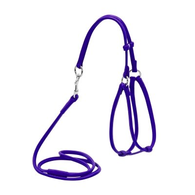 Шлея для дрібних собак і кішок Collar WAUDOG Glamour з повідцем 6 мм 105 см, фіолетова