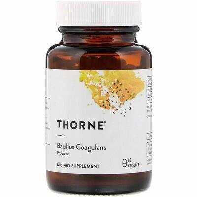 Пробіотик Thorne Research Bacillus Coagulans, 60 капсул