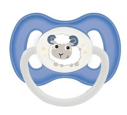 Пустушка силіконова Canpol Babies Bunny & Company симетрична 23/270_blu, 18+ місяців, 1 шт