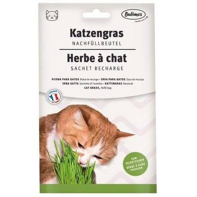 Трава для котів Bubimex Cat Grass в вигляді насіння, 100 г