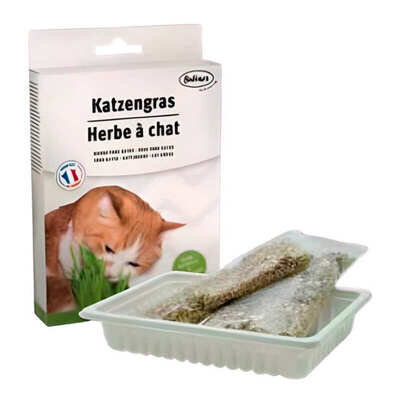 Трава для котів Bubimex Cat Grass в вигляді насіння, 100 г