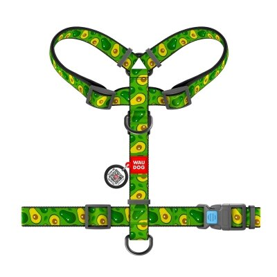 Шлея для собак Collar WAUDOG Nylon Авокадо анатомічна H-подібна з QR-паспортом розмір S, пластик
