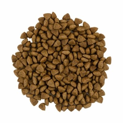 Корм сухий для котів з чутливим травленням Savory 30082 зі свіжим м’ясом ягняти та індички, 2 кг
