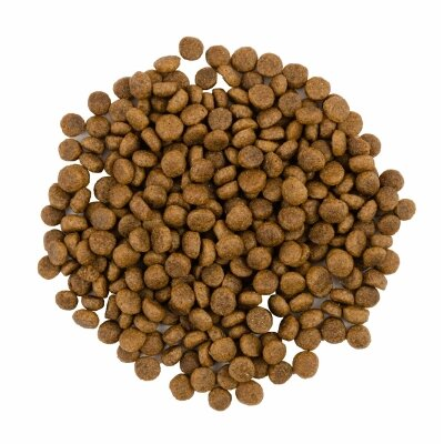 Корм сухий для довгошерстих кішок Savory Adult Cat Gourmand Fresh Salmon & White Fish зі свіжим лососем та білою рибою, 2 кг