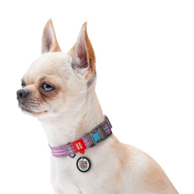 Нашийник для собак Collar WAUDOG Re-cotton QR паспортом, з відновленої бавовни, пластикова пряжка, ширина 20 мм, довжина 24-40 см