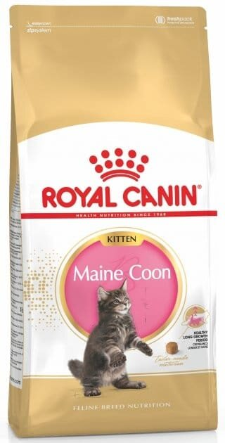 Корм сухий для кошенят Royal Canin Maine Coon Kitten породи мейн-кун до 15 місяців, 2 кг