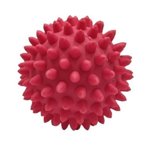 М'яч голчастий Health Ball Д73