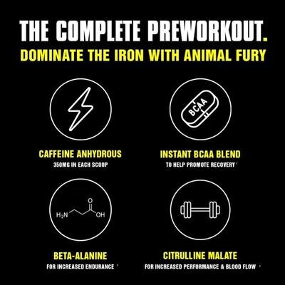 Передтренувальний комплекс Universal Nutrition Animal Fury, зелене яблуко, 507 г