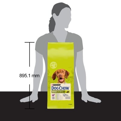 Корм сухий для дорослих собак Purina Dog Chow Adult Lamb зі смаком ягняти, 14 кг