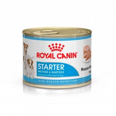 Корм вологий для вагітних собак і цуценят всіх порід Royal Canin Starter Mousse, 195 г