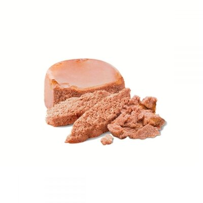 Корм вологий для вагітних собак і цуценят всіх порід Royal Canin Starter Mousse, 195 г