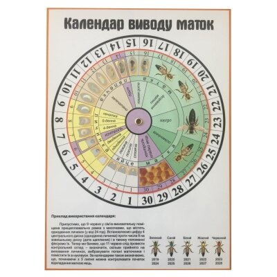 Календар виведення маток АВВ-100 1621