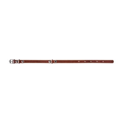 Нашийник Collar 00156 одинарний, ширина 10 мм, довжина 22-30 см, коричневий