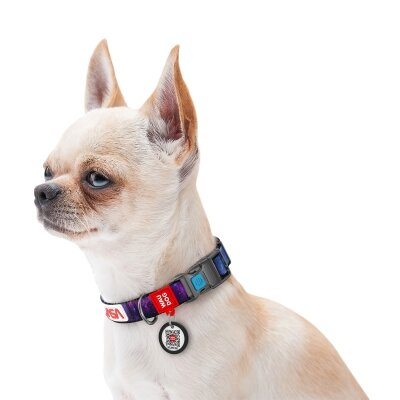 Нашийник Collar WAUDOG Nylon з QR-паспортом, малюнок NASA, пластиковий фастекс, ширина 15 мм, довжина 23-35 см
