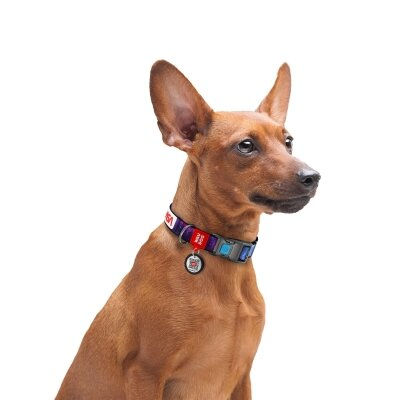 Нашийник Collar WAUDOG Nylon з QR-паспортом, малюнок NASA, пластиковий фастекс, ширина 15 мм, довжина 23-35 см