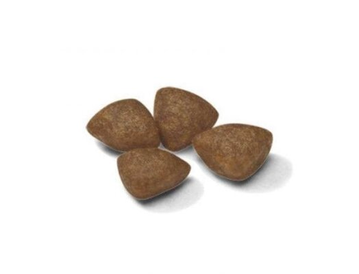 Корм сухий для собак Royal Canin Mini Starter дрібних порід в період вагітності і лактації, 1 кг
