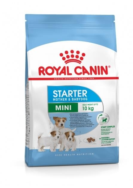 Корм сухий для собак Royal Canin Mini Starter дрібних порід в період вагітності і лактації, 1 кг
