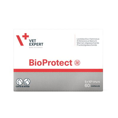 Харчова добавка VetExpert BioProtect для котів і собак із порушеною шлунково-кишковою мікрофлорою, 60 капсул
