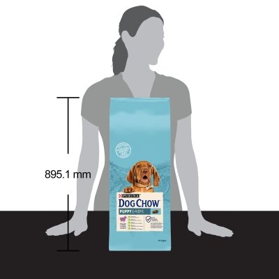 Корм сухий для цуценят Purina Dog Chow Puppy Lamb зі смаком ягняти, 14 кг