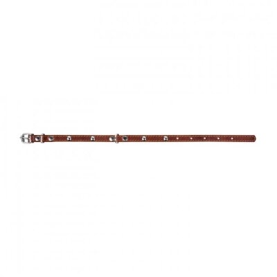 Нашийник Collar 00236 одинарний з прикрасами, ширина 12 мм, довжина 24-32 см, коричневий