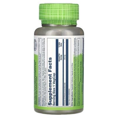 Ехінацея пурпурова Solaray Echinacea purpurea 440 мг, 100 капсул