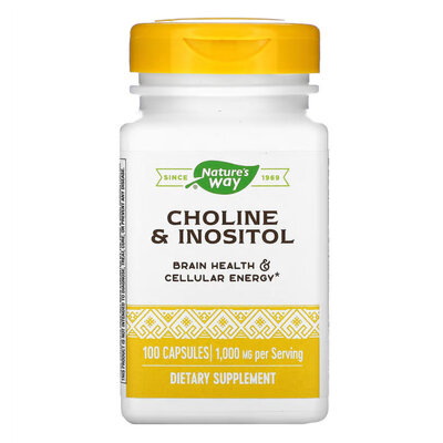 Холін і Інозитол Nature`s Way Choline & Inositol, 100 капсул