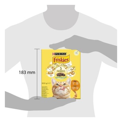 Корм сухий для кішок Purina Friskies з крукою і овочами, 300 г