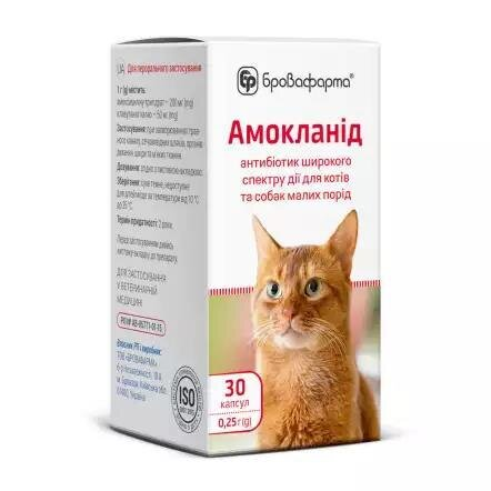 Амокланід (ДЛЯ ТВАРИН) капсули по 0,25 г, 30 штук