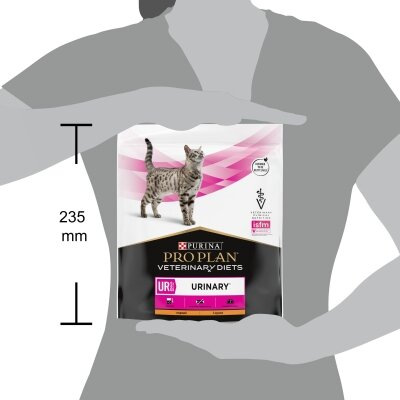 Корм сухий для котів Purina Pro Plan Veterinary Diets UR Urinary при сечокам'яній хворобі з куркою, 350 г