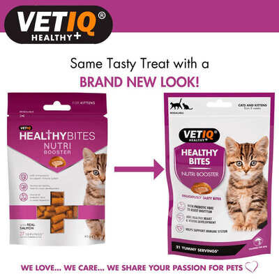 Ласощі для кошенят VetIQ Healthy Bites Nutri Booster з лососем сприяють зміцненню імунітету та здоров'ю ШКТ, 65 г