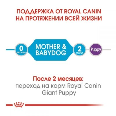 Корм сухий для собак Royal Canin Giant Starter, 4 кг