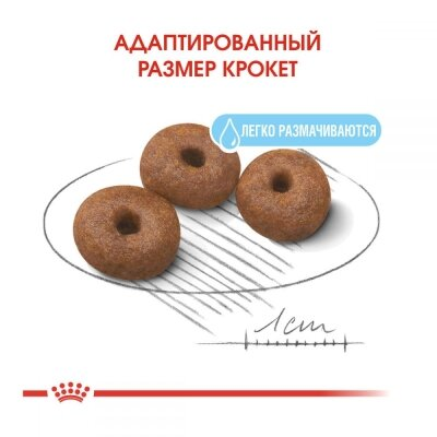 Корм сухий для собак Royal Canin Giant Starter, 4 кг