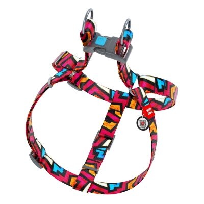 Шлея для собак Collar WAUDOG Nylon Графіті, з QR паспортом ширина 25 мм, довжина 60-90 см
