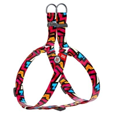 Шлея для собак Collar WAUDOG Nylon Графіті, з QR паспортом ширина 25 мм, довжина 60-90 см