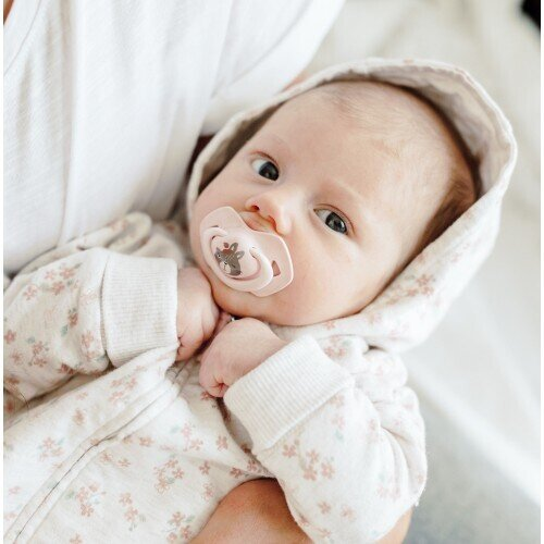 Пустушка силіконова Canpol Babies Bonjour Paris симетрична 22/648_pin, 6-18 місяців, 2 шт