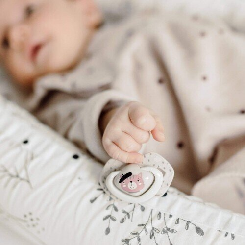 Пустушка силіконова Canpol Babies Bonjour Paris симетрична 22/648_pin, 6-18 місяців, 2 шт
