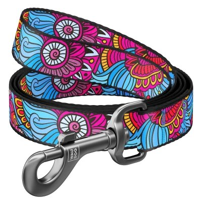 Повідець Collar WAUDOG Nylon малюнок Літо, ширина 15 мм довжина 122 см
