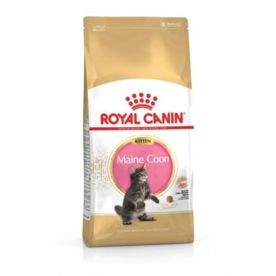 Корм сухий для кошенят Royal Canin Maine Coon Kitten породи мейн-кун до 15 місяців, 400 г