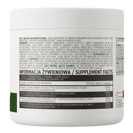 Грибний комплекс OstroVit Quatro Mushroom Blend, 100 г