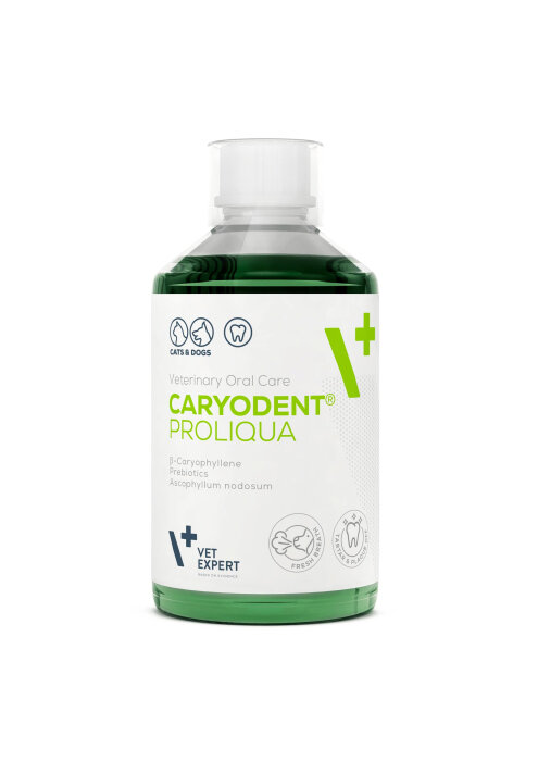 КаріоДент VetExpert CaryoDent ProLiqua концентрат для здоров'я ротової порожнини, 250 мл