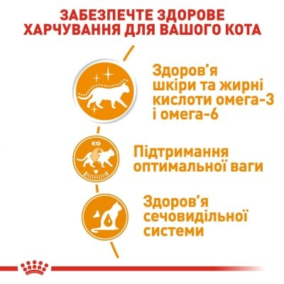 Корм вологий для кішок Royal Canin Intense Beauty In Jelly, 85 г
