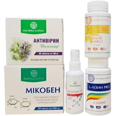 Для частохворіючих дітей Рослина Карпат комплексна програма 1 курс
