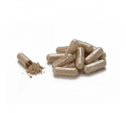 Молочний Чортополох Nature's Sunshine (NSP) Milk Thistle 595 мг, 60 капсул