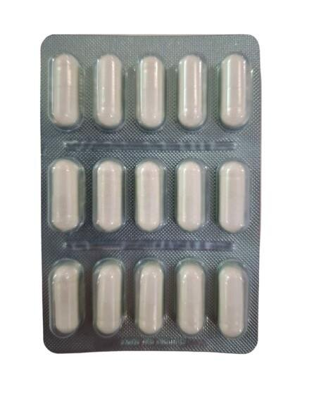 Харчова добавка VetExpert BioProtect для котів і собак із порушеною шлунково-кишковою мікрофлорою, 15 капсул