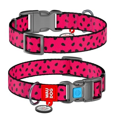 Нашийник Collar WAUDOG Nylon з QR-паспортом, малюнок Кавун, пластиковий фастекс, ширина 15 мм довжина 23-35 см