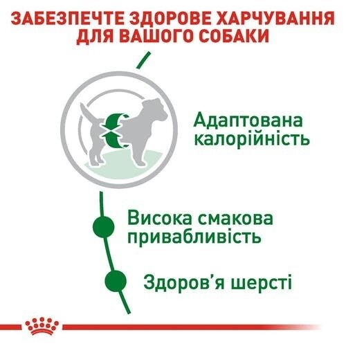 Корм сухий для собак Royal Canin Mini Adult, 4 кг