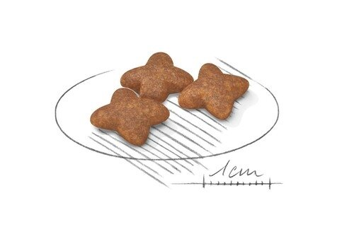 Корм сухий для собак Royal Canin Mini Adult, 4 кг