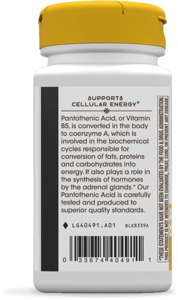 Пантотенова кислота Nature's Way Pantothenic Acid (Vitamin B5) 250 мг, 100 капсул